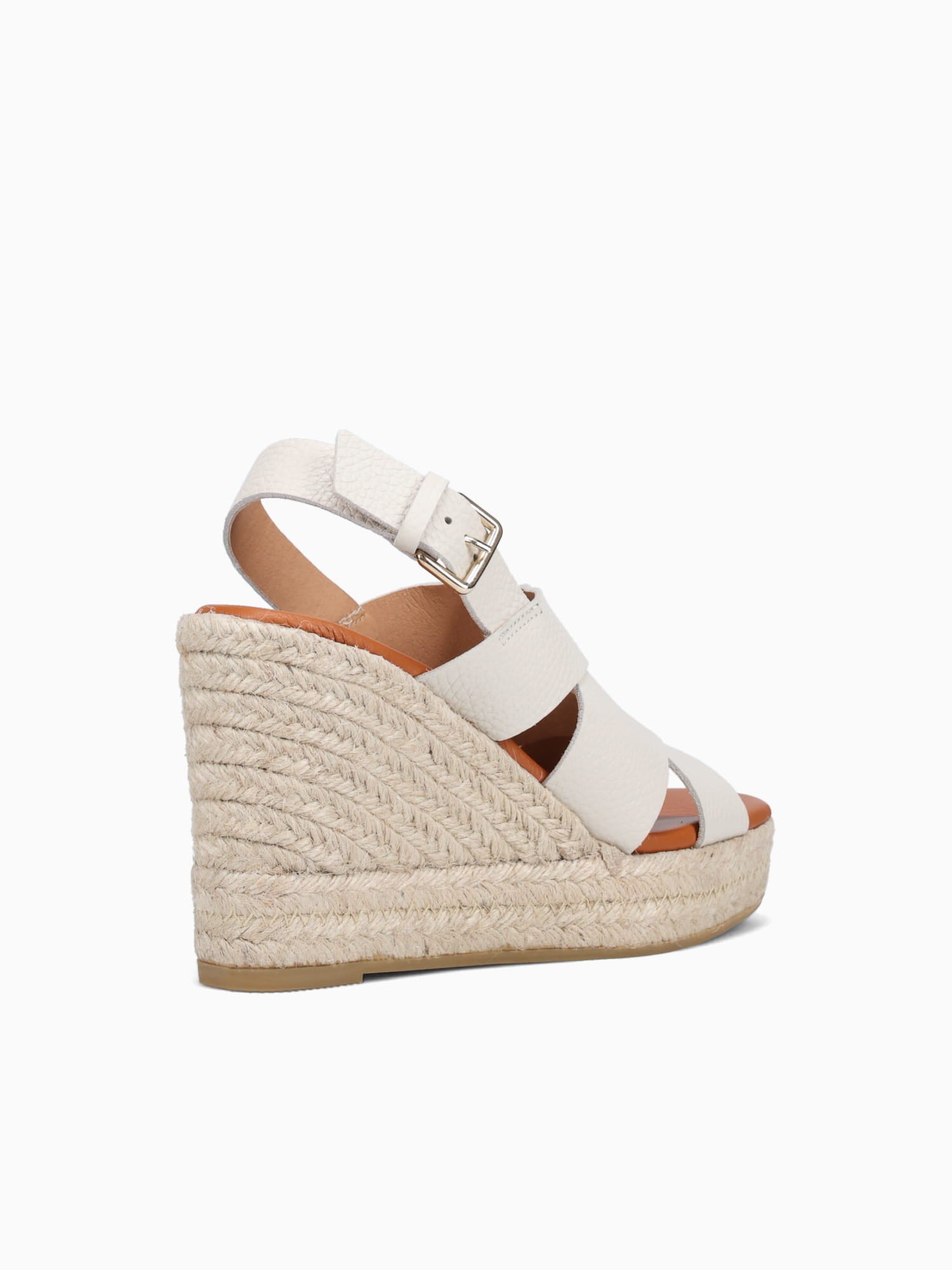 245014ca Croco1m Oxford / M