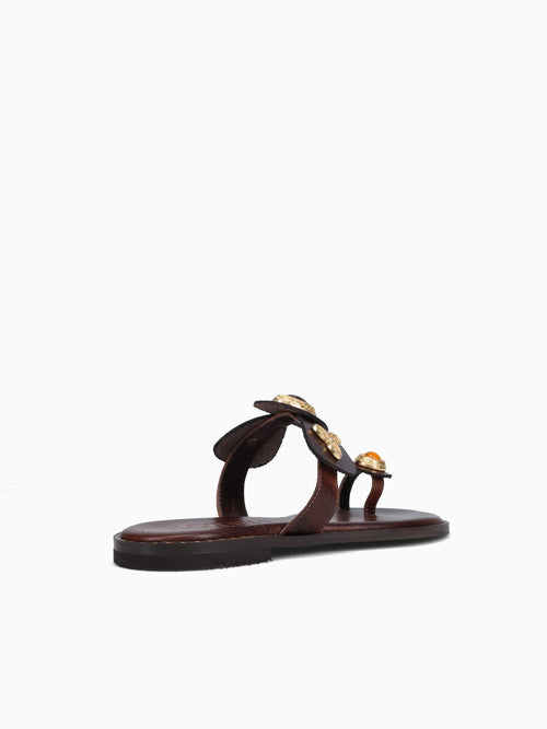 Kaela Chocolate Leather Brown / 36 / M