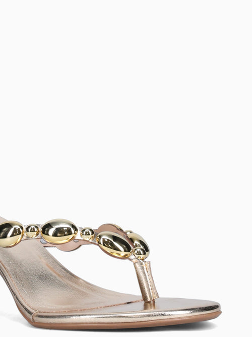 Zita Champagne Chroma Champagne / 5 / M
