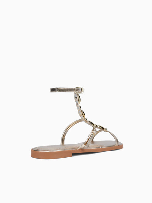 Zolia Champagne Chroma Champagne / 5 / M