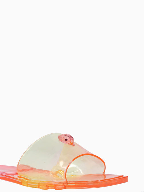 Maddison Slide Pink Jelly Pink / 5 / M