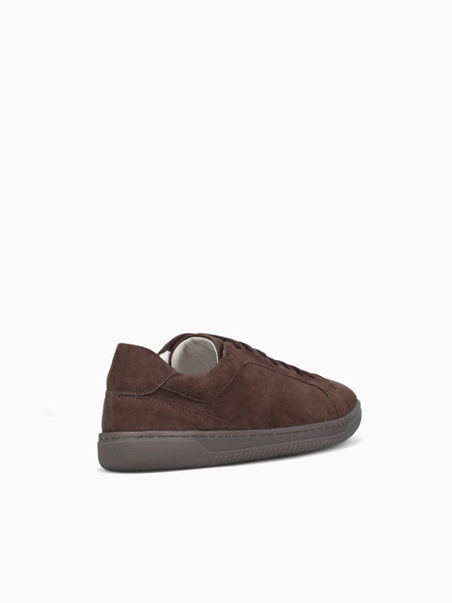 Pascoe Brown Argos Brown / 7 / M