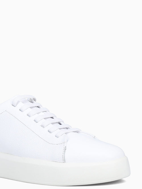 Pascual White Velvet White / 7 / M