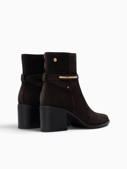 Carolann Marron Suede Dark Brown / 5 / M
