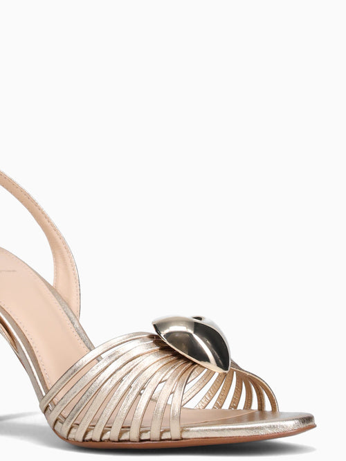 Gaetana Champagne Metalizado Gold / 5 / M