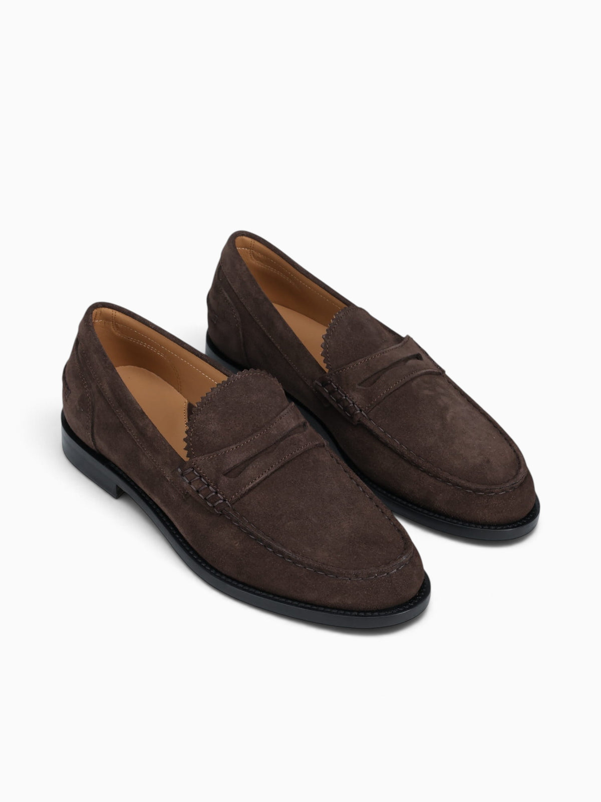 Castor Castagno Valencia Tan / 7 / M