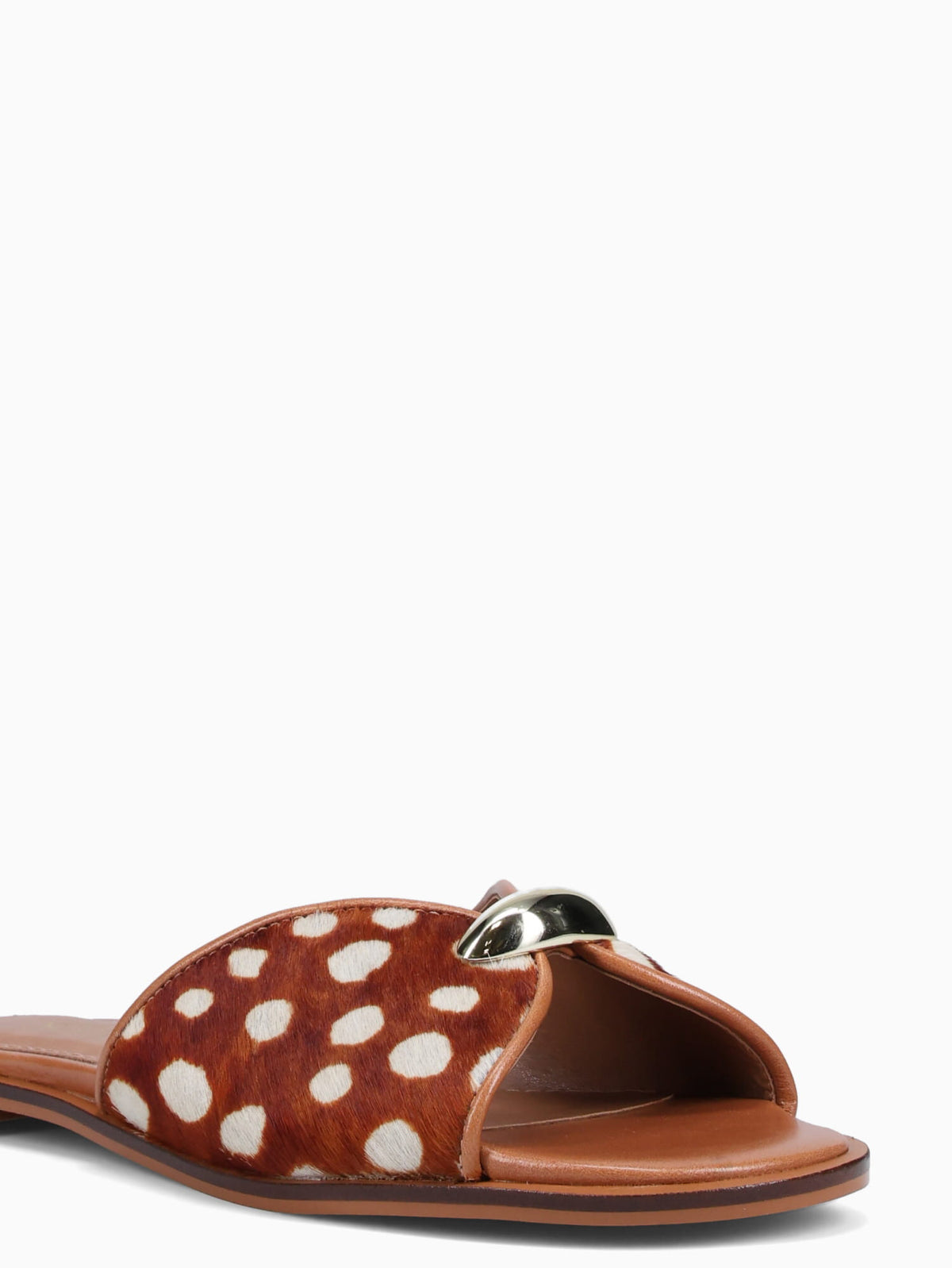 Armida Chestnut Bambi torino Pelo Brown / 5 / M