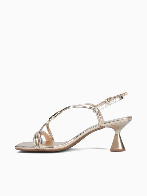Zaina Champagne Chroma Champagne / 5 / M