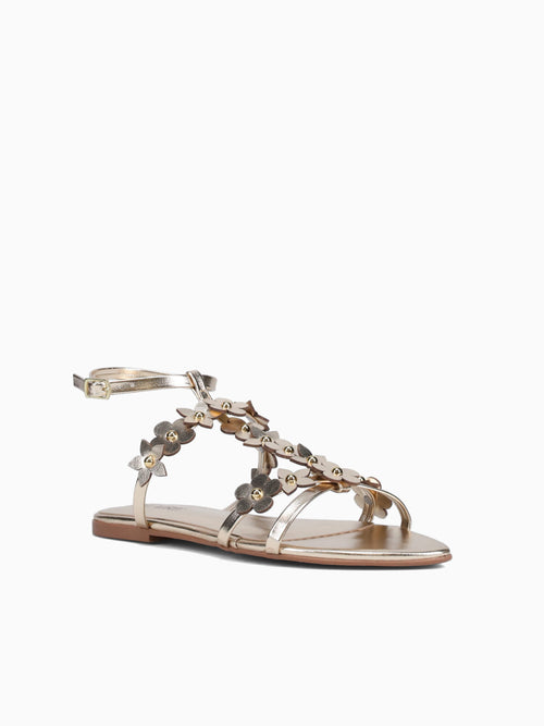 Zaida Champagne Chroma Champagne / 5 / M