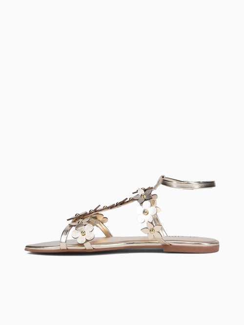 Zaida Champagne Chroma Champagne / 5 / M