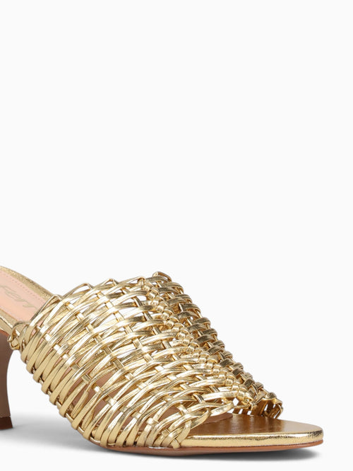 Fynley Ouro Vacheta Cristal Gold / 5 / M