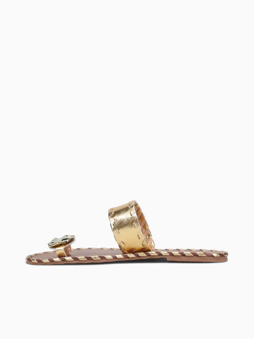 Fyzzi Ouro Cristal Gold / 5 / M