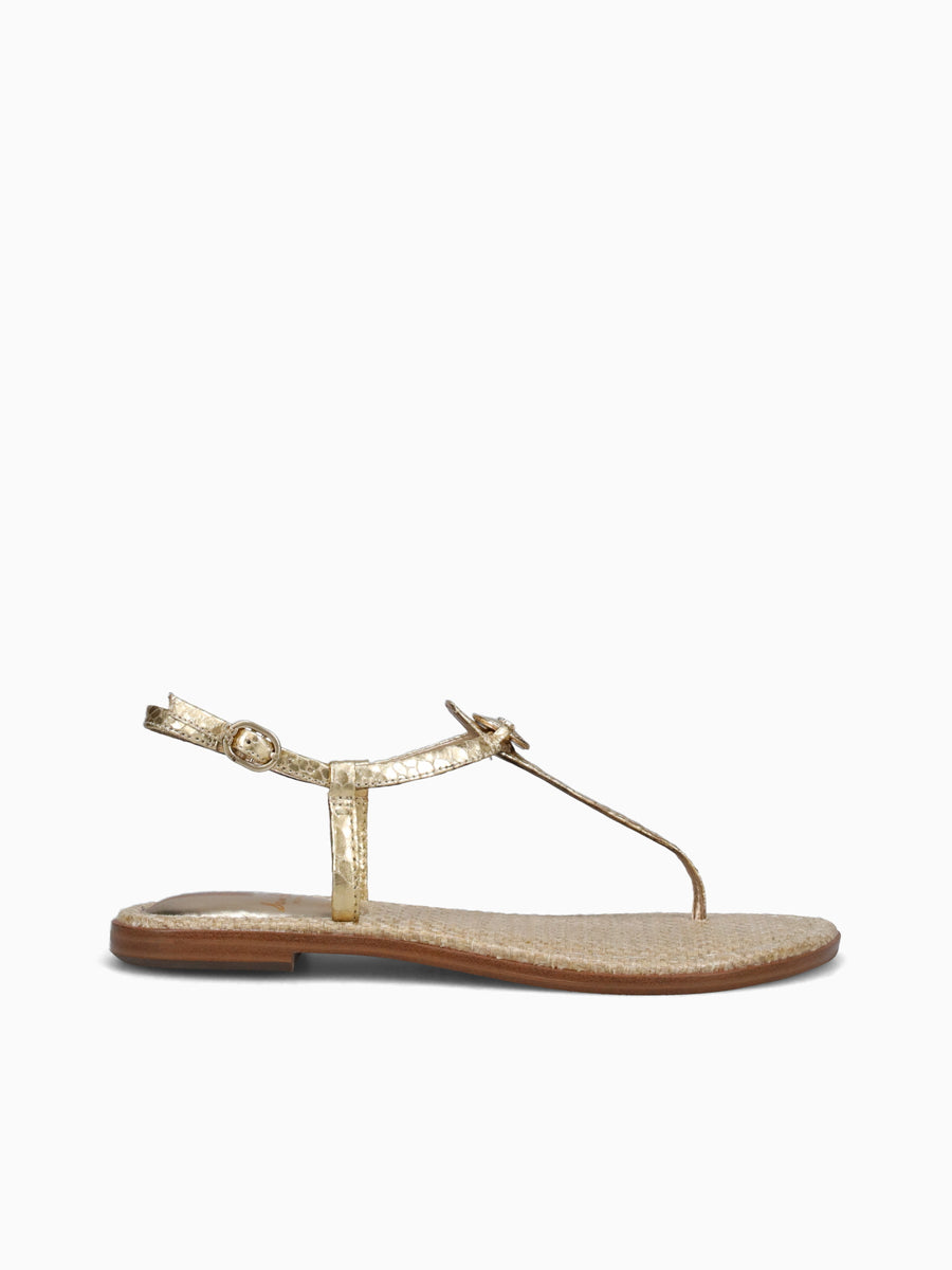 Gigi Gold Metallic Gold / 5 / M