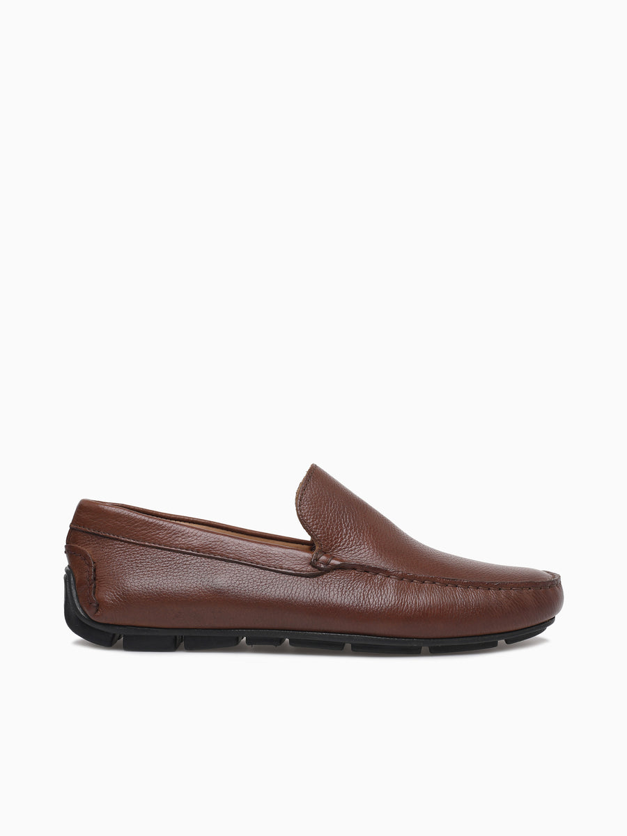 Wally Havana Florenca Brown / 7 / M